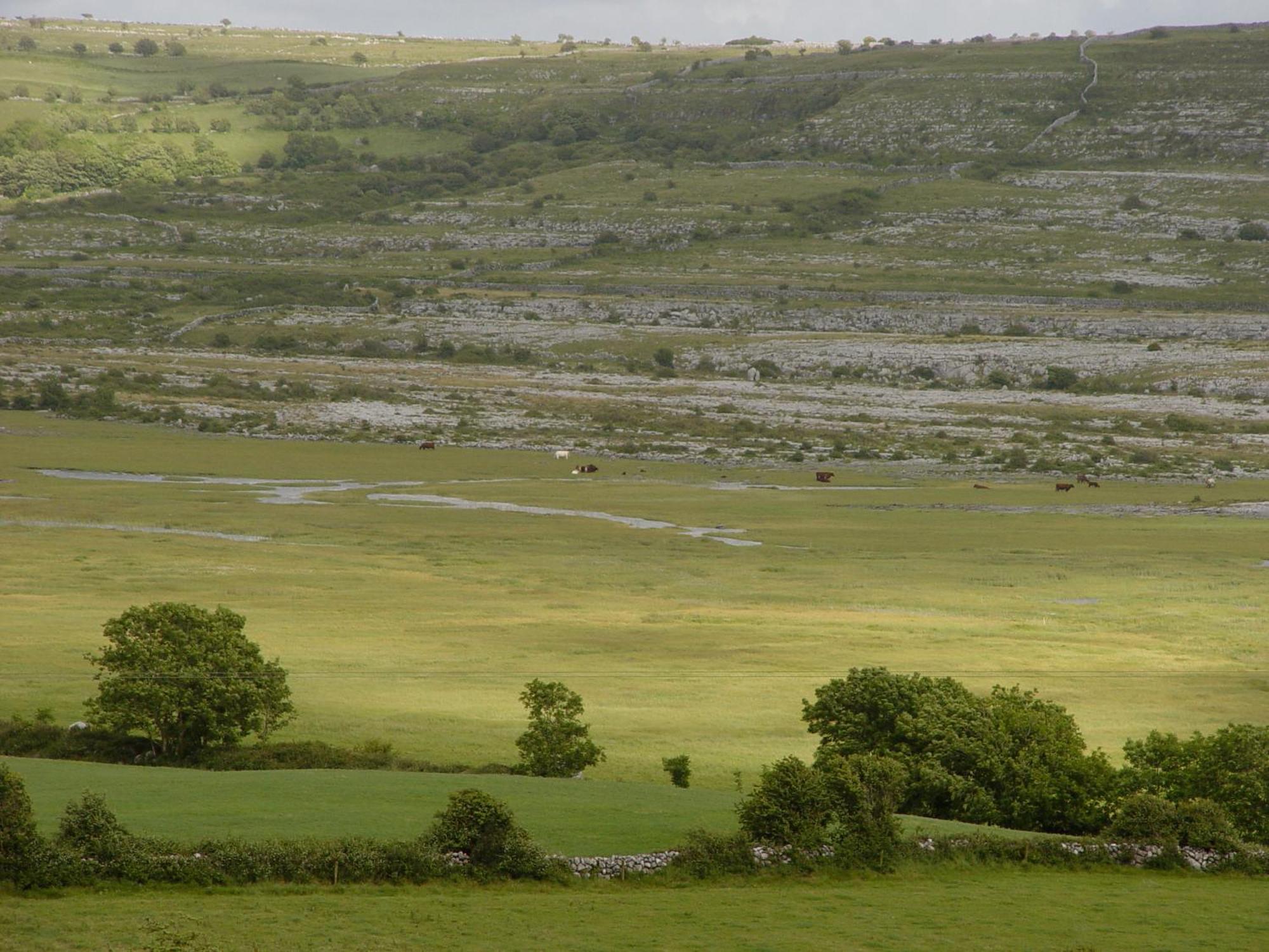 Clare'S Rock Self-Catering Accommodation Carron Luaran gambar